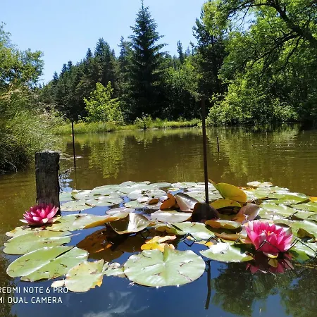 Resource Апартаменты Шамбон-сюр-Линьон