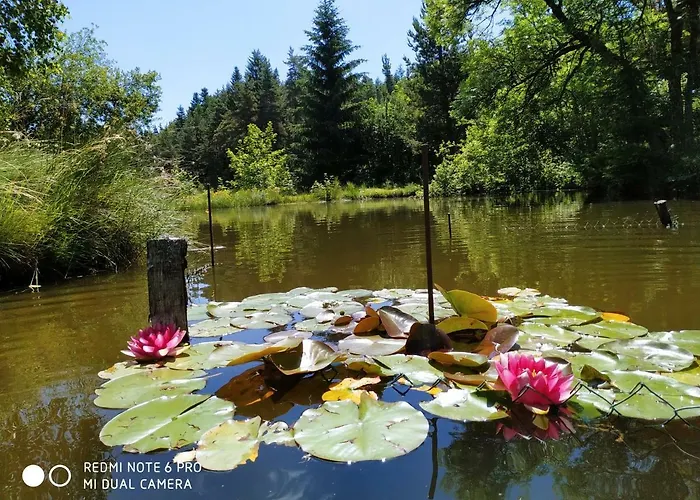 Re(s)source Appartement Le Chambon-sur-Lignon