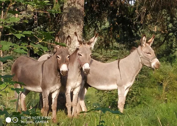 Appartement Re(s)source Le Chambon-sur-Lignon